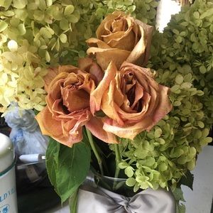 Meet your Posher, Alida